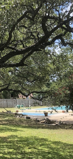 Property grounds - CYC Lounge with Guest House (San Antonio)
