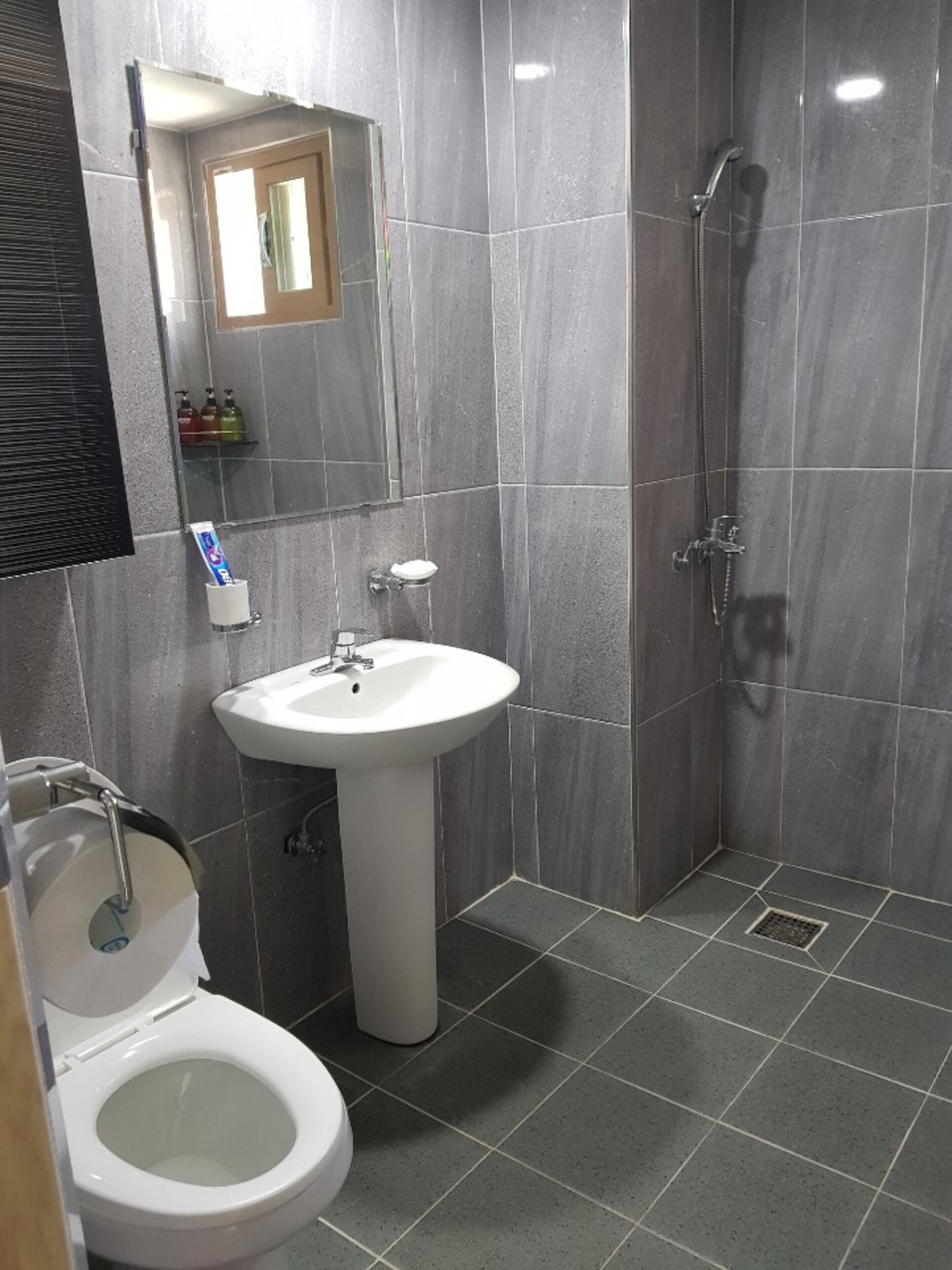 Een badkamer met toilet, wastafel en douche.