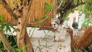 A statue of a man in a garden with bamboo fencing and lush greenery. - No16 Ada  (Adalar)