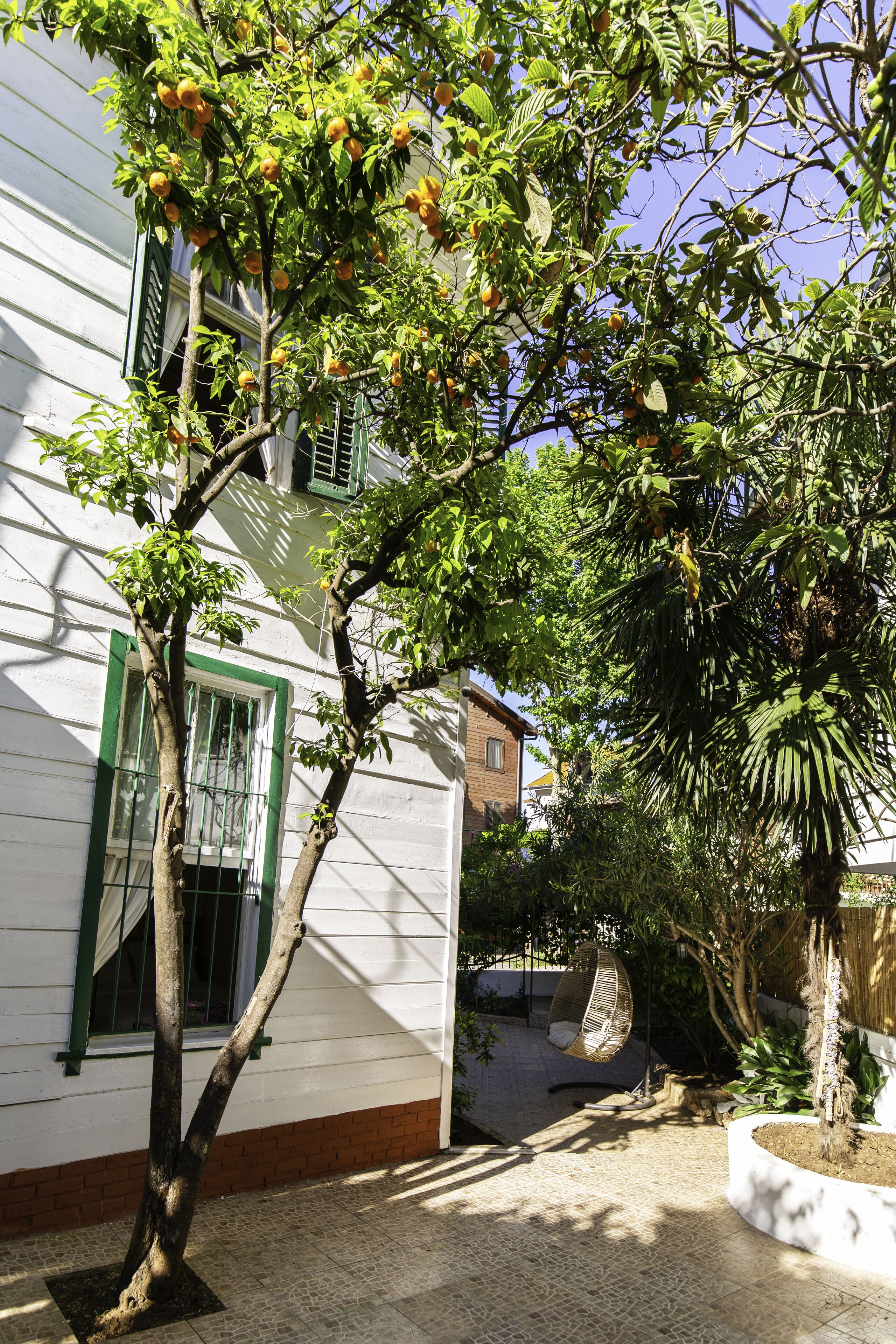standard room, garden view, ground floor | view from room