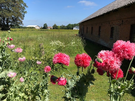 Jardín. Karensdal B & B