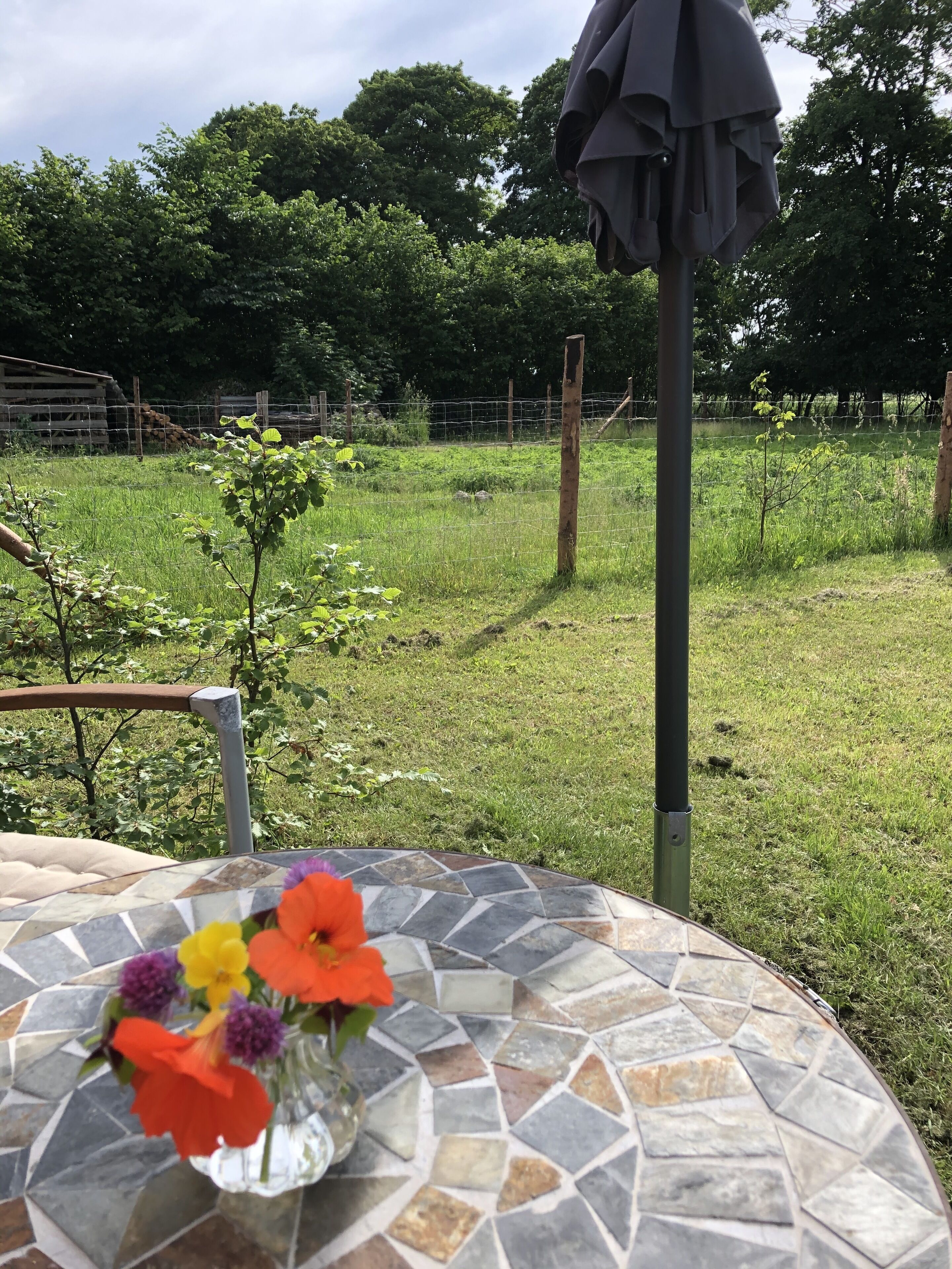 A garden with a tiled table, a metal chair, and a metal umbrella.