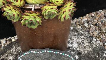 A potted succulent plant with a 'Welcome' sign in front of a brick wall.