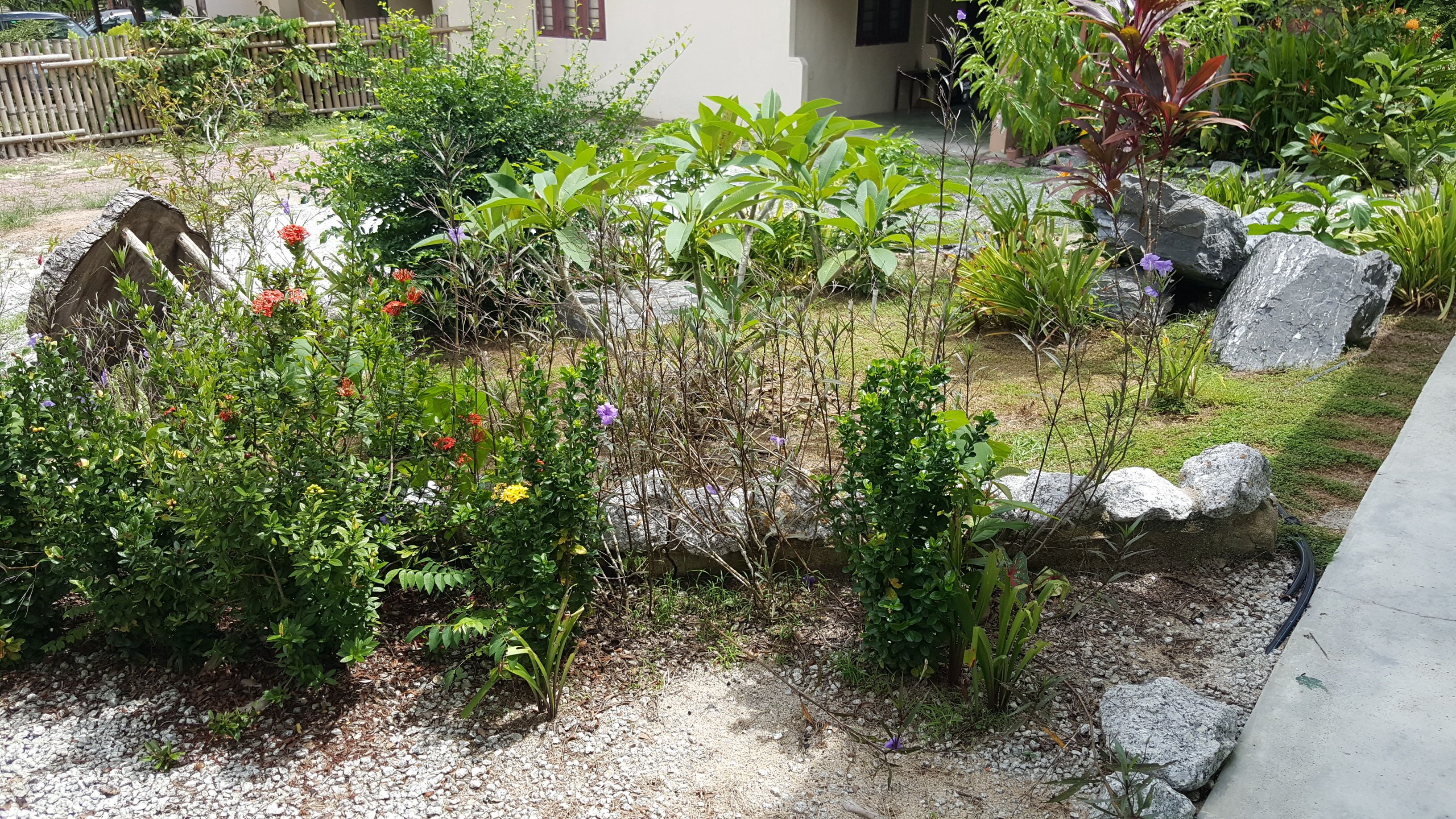 Foto - Sabandy House B&B