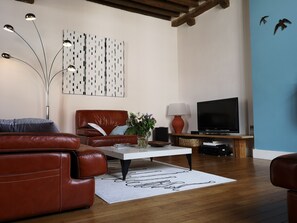 Télévision, cheminée, livres, chaîne hi-fi