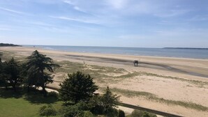 Una playa con cielo despejado, orilla arenosa y vegetación escasa.