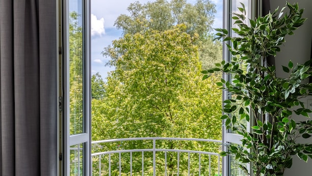 Ein Zimmer mit einer großen Schiebetür zum Balkon, einer Topfpflanze und einem grauen Teppich.