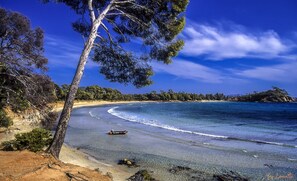 Playa en los alrededores y camastros 