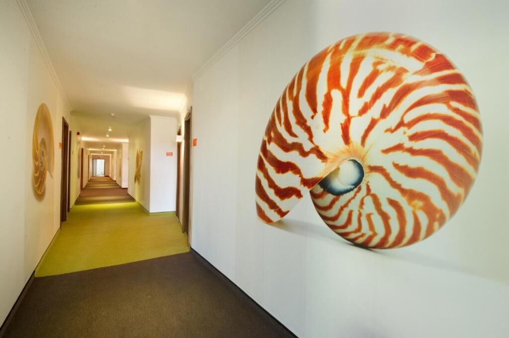 Photo - Hotel Excelsior - All Inclusive