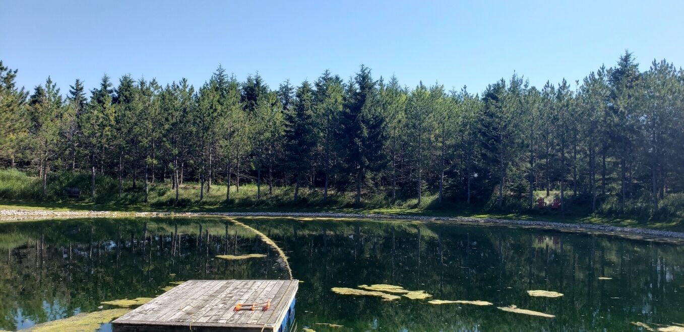 Lake