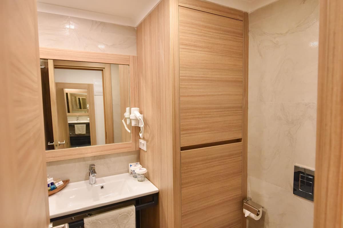 standard double or twin room | bathroom | shower, hydromassage showerhead, hair dryer, slippers