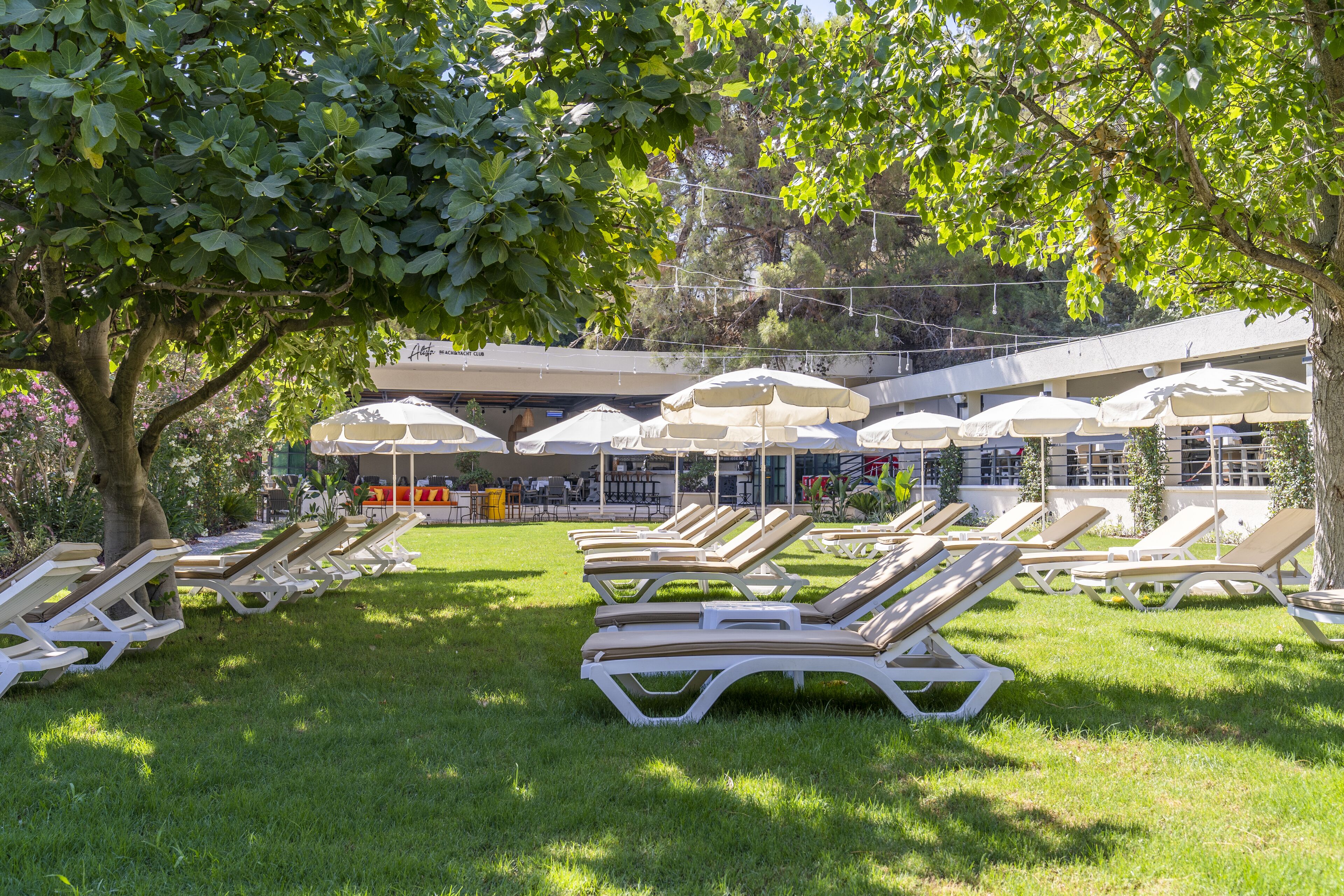 private beach nearby, black sand, free beach shuttle, sun-loungers