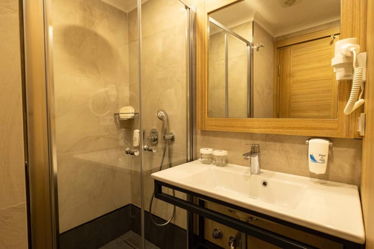 standard double or twin room | bathroom | shower, hydromassage showerhead, hair dryer, slippers