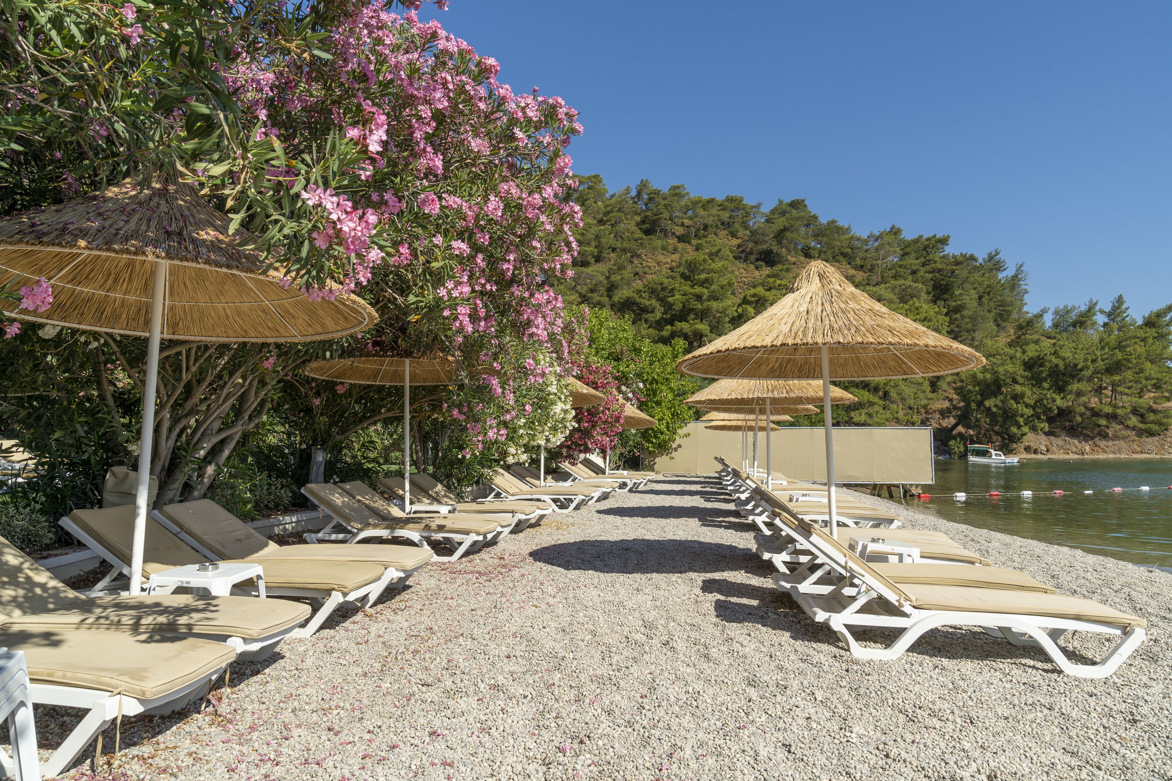 private beach nearby, black sand, free beach shuttle, sun-loungers