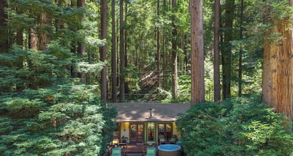 Tranquil Retreat on Austin Creek, Surrounded by Forest Views