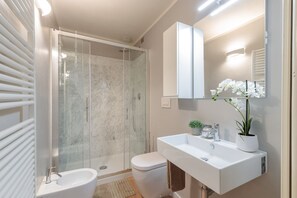 Shower, hair dryer, bidet, towels