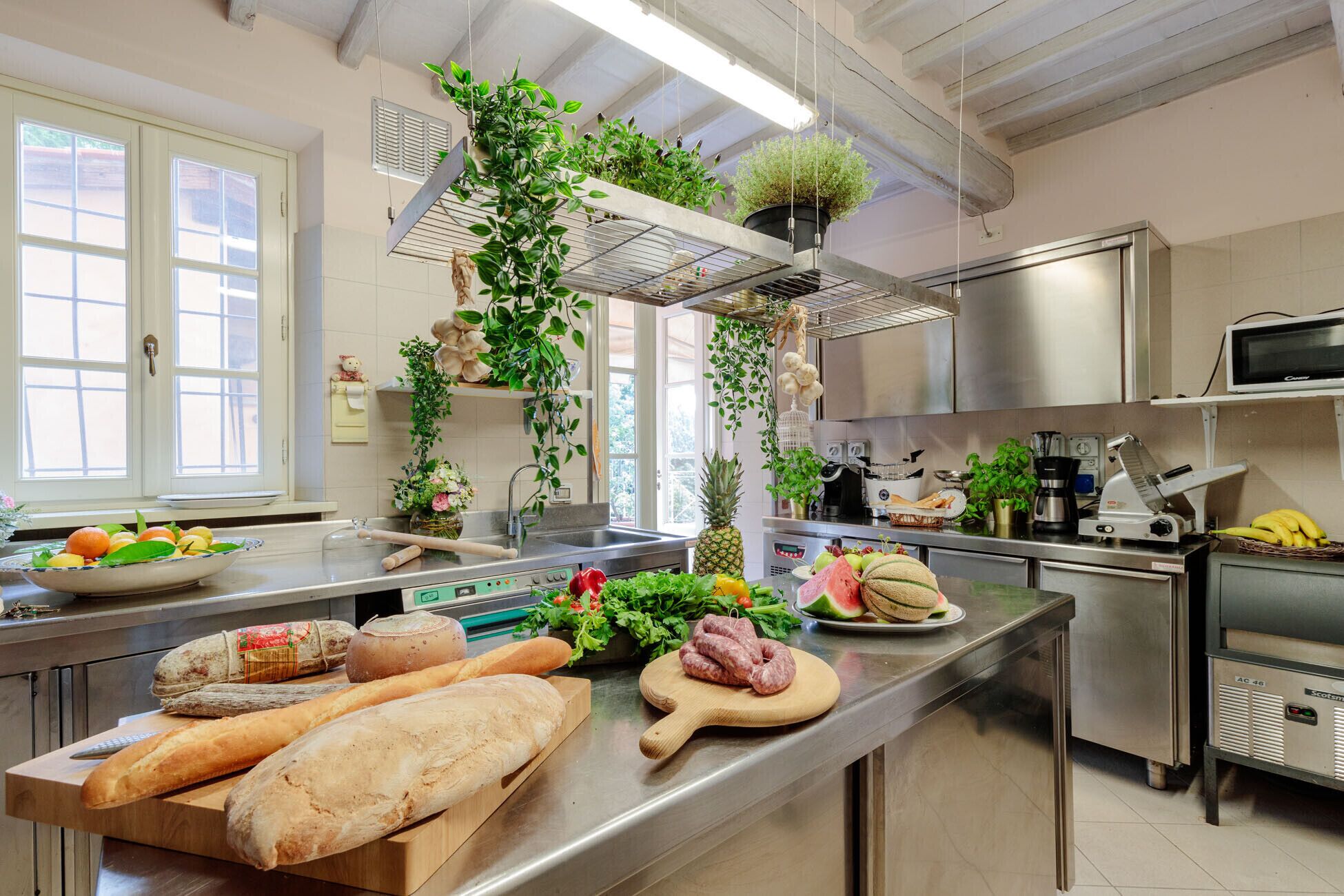 A kitchen with stainless steel appliances, a wooden cutting board with food, and hanging plants.