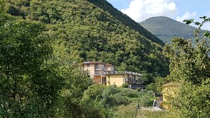 A hillside residential area with two multi-story buildings, surrounded by dense greenery and a mountain in the background.