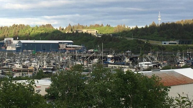 Ein Hafen mit vertäuten Booten, umgeben von Gebäuden und einer bewaldeten Hügelsicht.