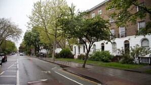 Un carrer amb un carril bici, edificis de maó i arbres.