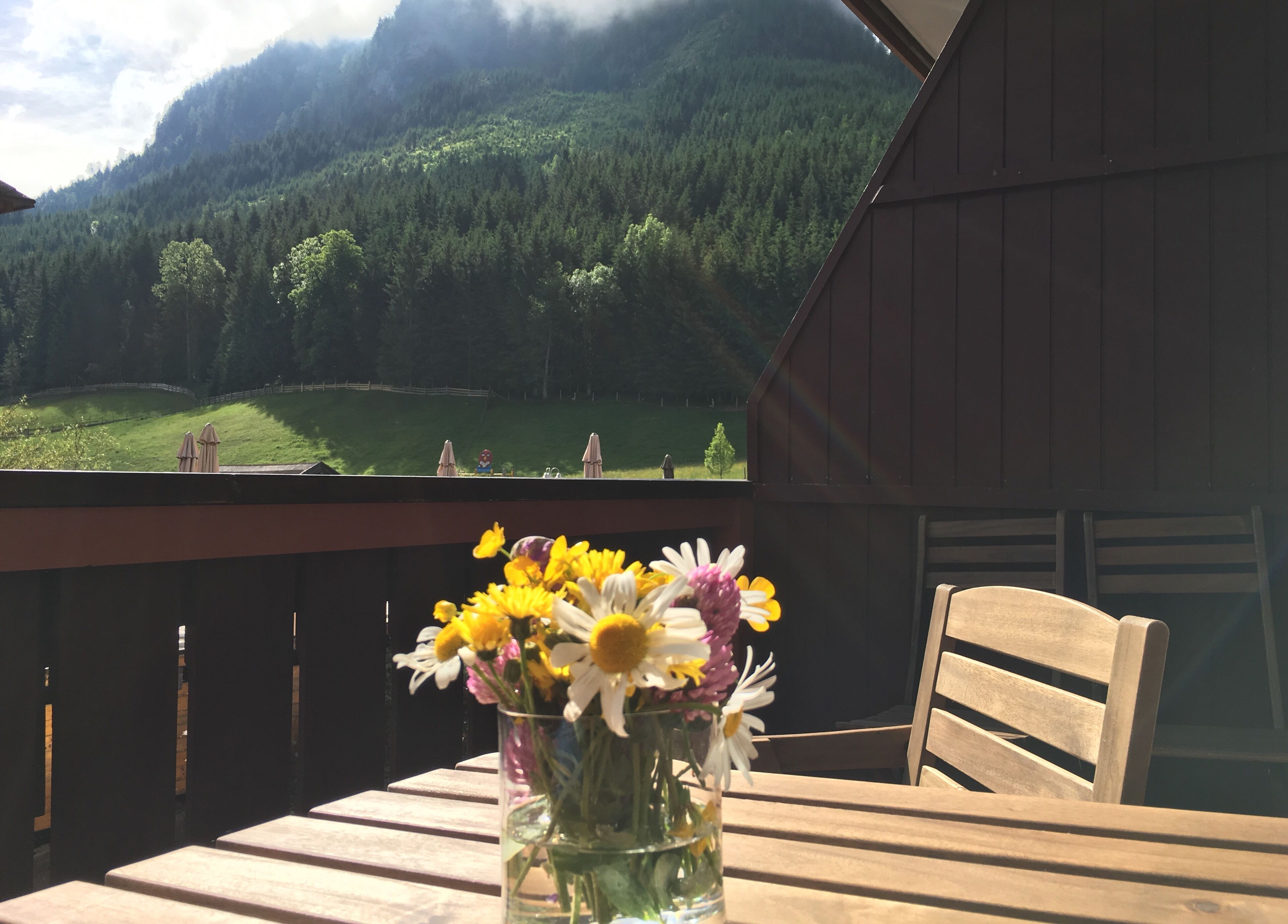 Opções para refeição ao ar livre