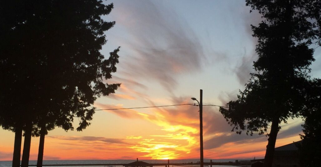 A sunset with a clear sky, silhouetted trees, and a streetlight.