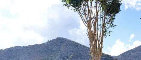 5 habitaciones y ropa de cama