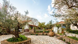Un pati amb paviment de pedra, envoltat d'arbres i plantes en testos, que condueix a un edifici amb teules vermelles.