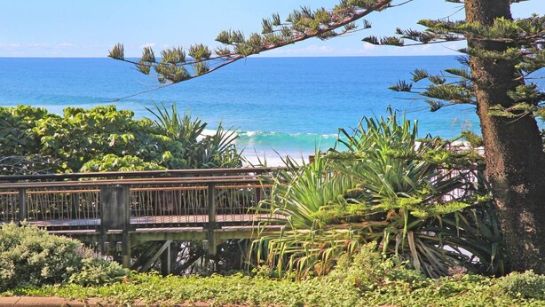 A coastal view with a wooden bridge, dense greenery, and the ocean in the background. - Unit 1 'Phoenix' /1736 David Low Way, Coolum Beach (Coolum Beach)