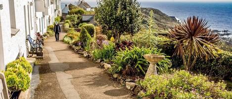 A coastal pathway lined with lush greenery and a bench, leading to a scenic view of the ocean.