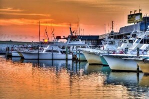 Port de plaisance