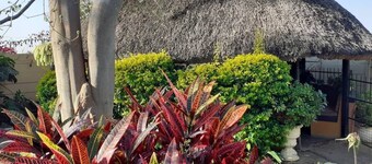 Charming 6-Bed House with Swimming Pool in Harare