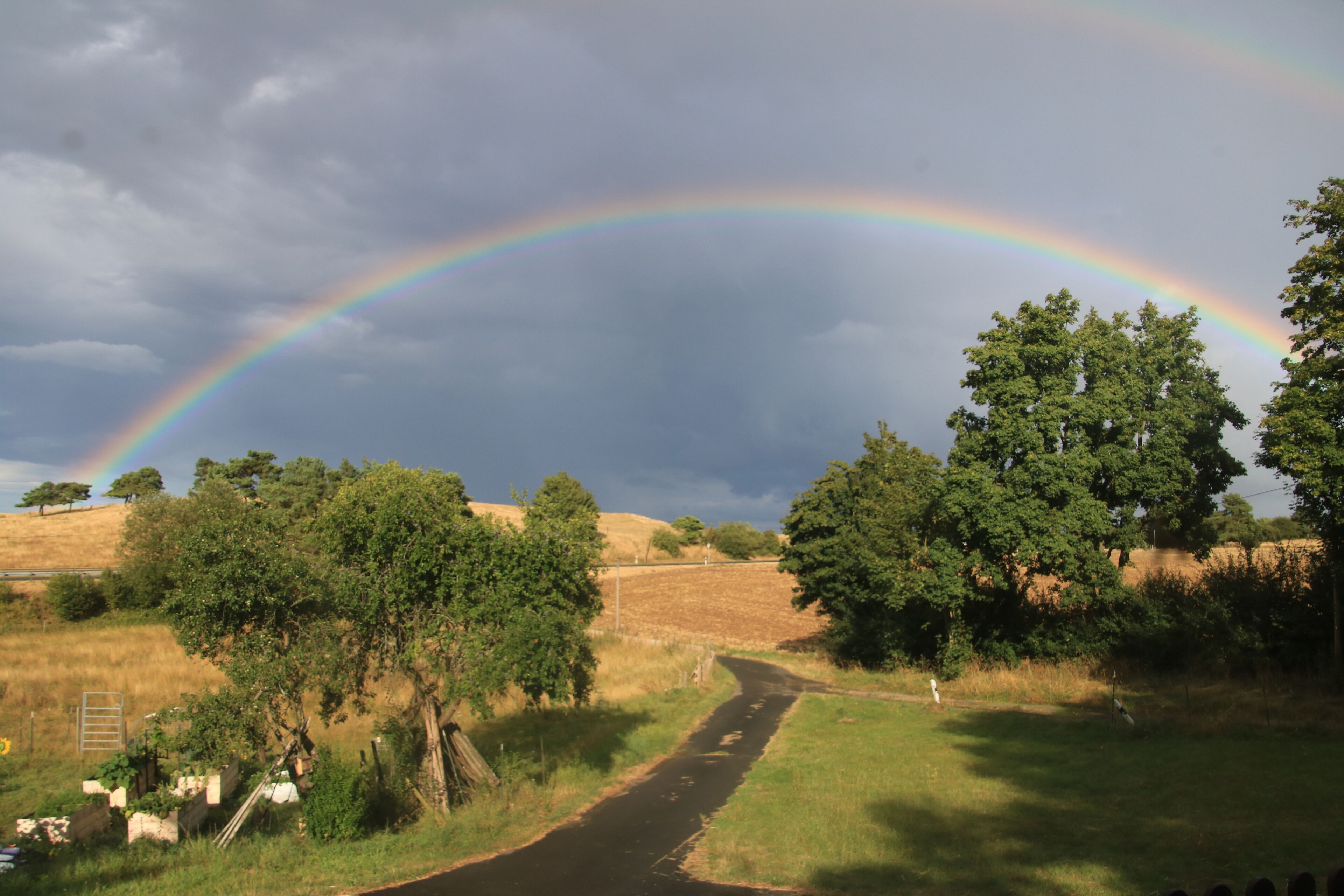 Een landweg met een regenboog die erover boogt, omringd door bomen en open velden.