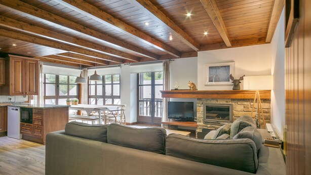 A spacious living area with a wooden ceiling, a fireplace, a sofa, and a television. - Luderna - Apartamento Val de Ruda B1 Morèdo (Baqueira)