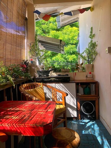 'TREE HOLLOW' at a good price :)