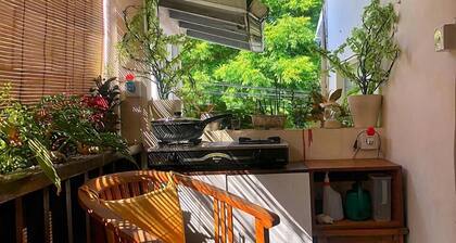 'TREE HOLLOW' at a good price :)