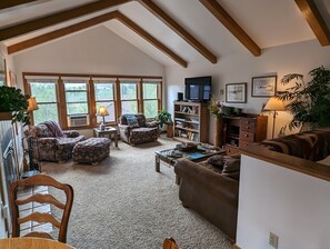 Televisor, llar de foc, reproductor de DVD i llibres 