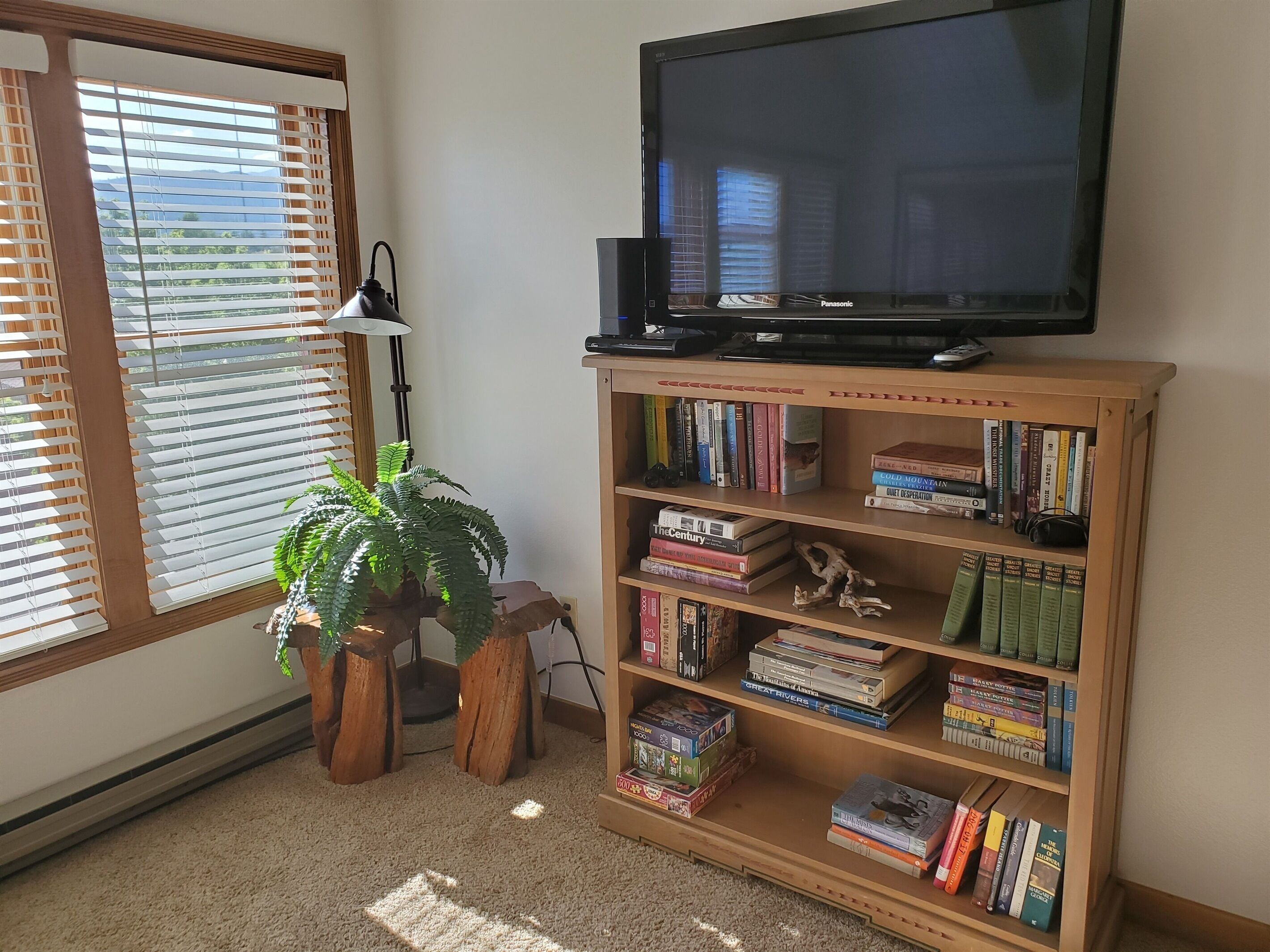 A room with a bookshelf filled with books, a television on a stand, a plant, and a window with blinds.
