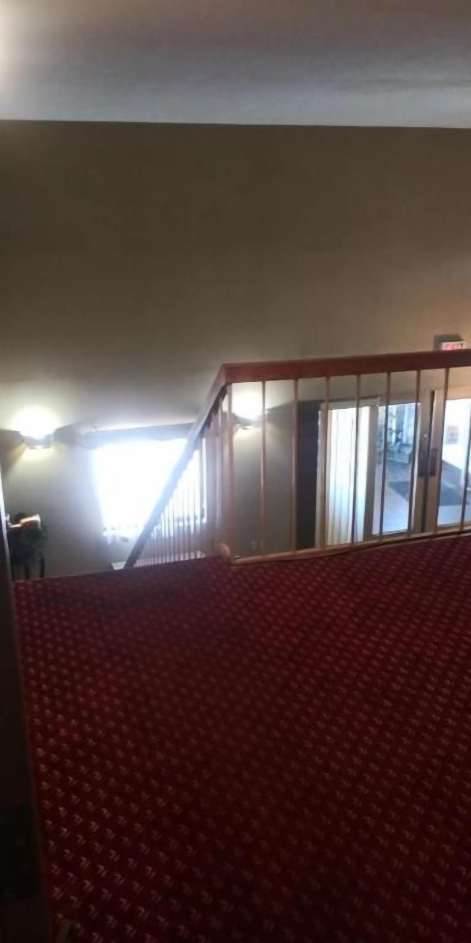 Un área con alfombra roja y una escalera que lleva a una habitación más luminosa.