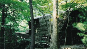 A rustic cabin with a wooden staircase leading to a deck, surrounded by dense forest. - Spacious Mountain Cabin in Gated Community (Triplett)