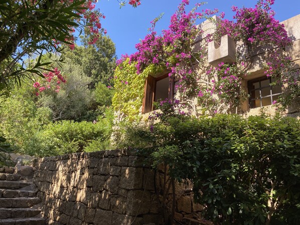 Ein Steinhaus mit rosafarbenen Blüten und einer Steintreppe.