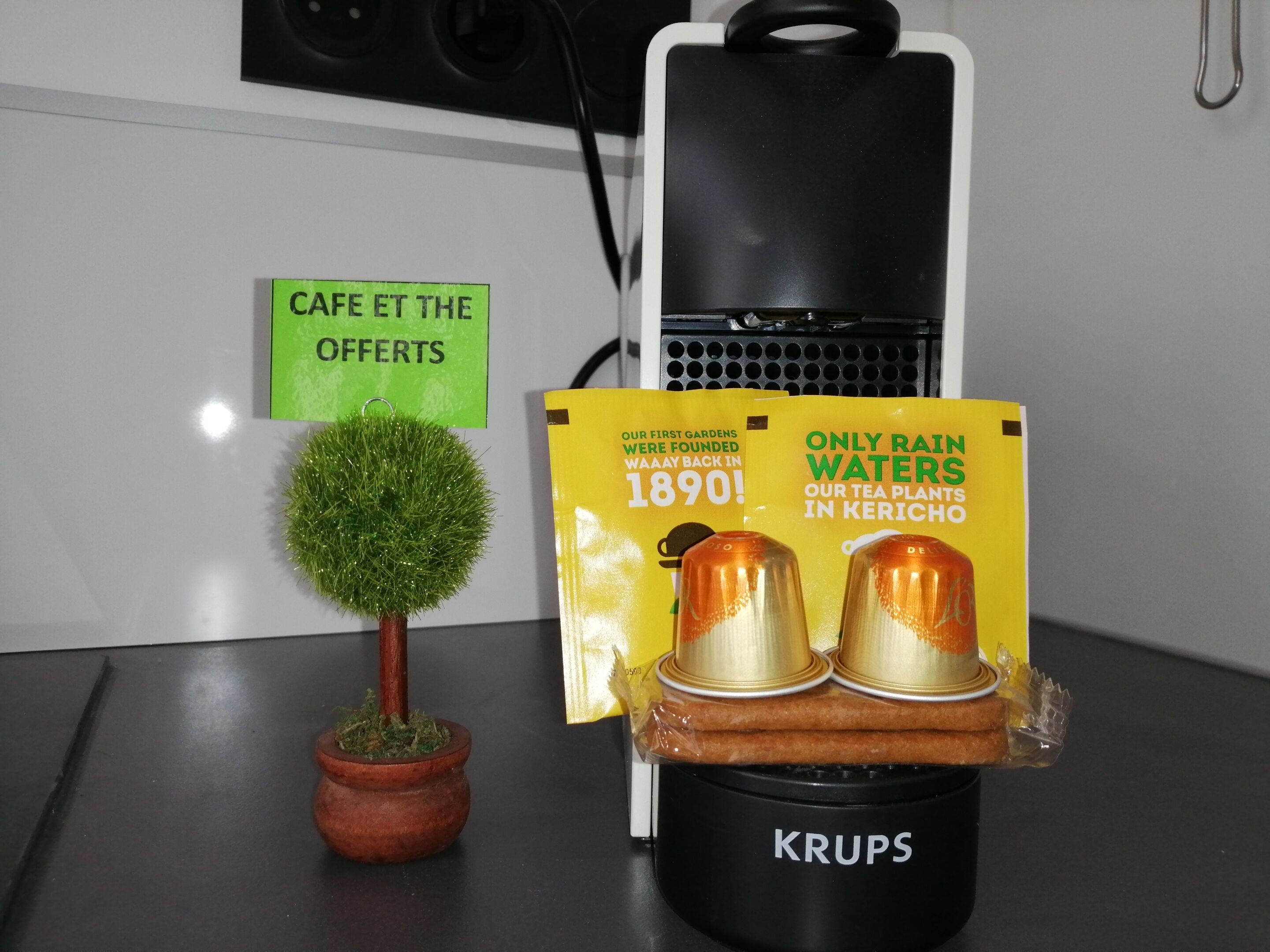 Una planta pequeña en maceta, un dispensador de agua Krups y material promocional sobre una mesa.
