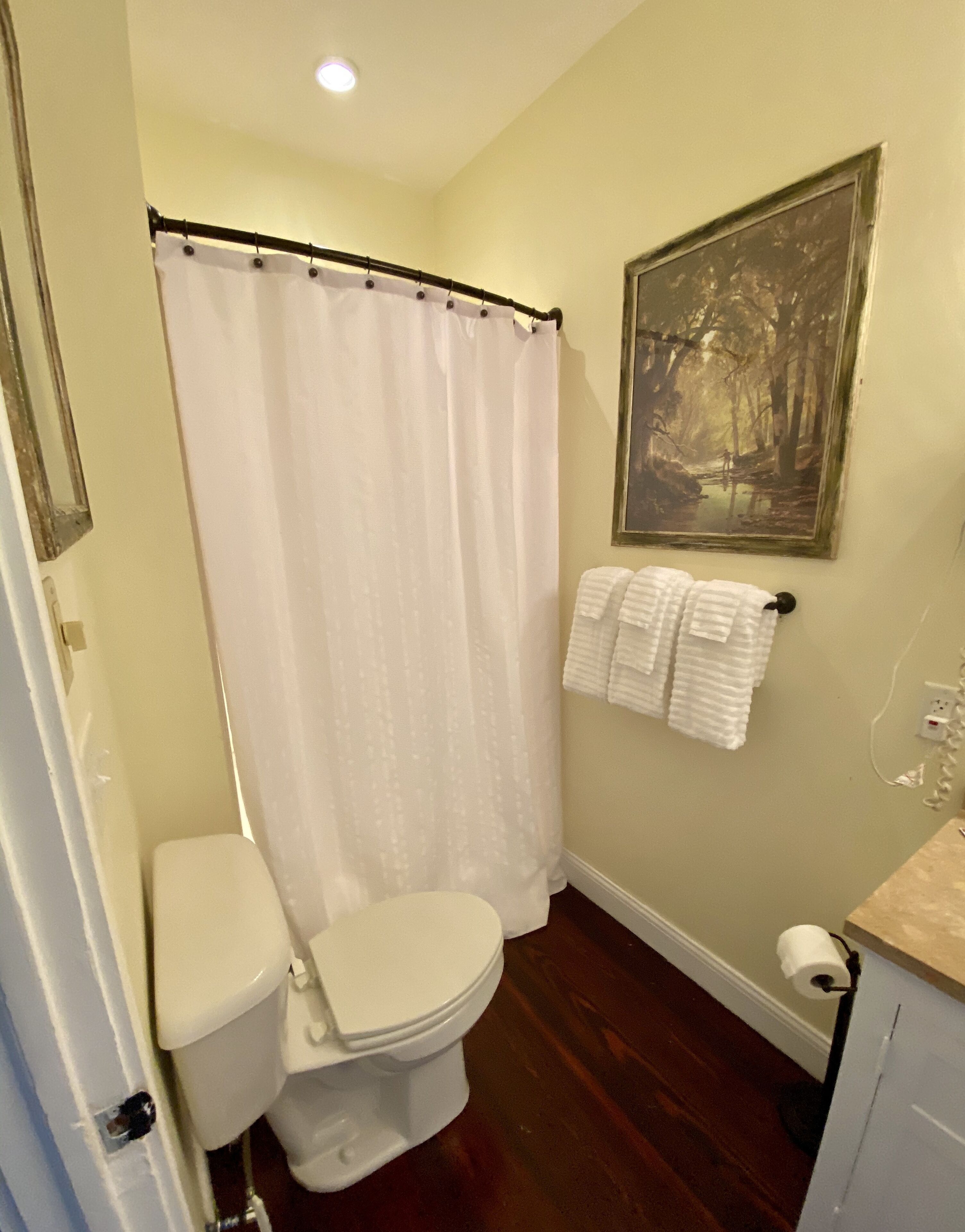 A bathroom with a toilet, shower curtain, and a painting on the wall.