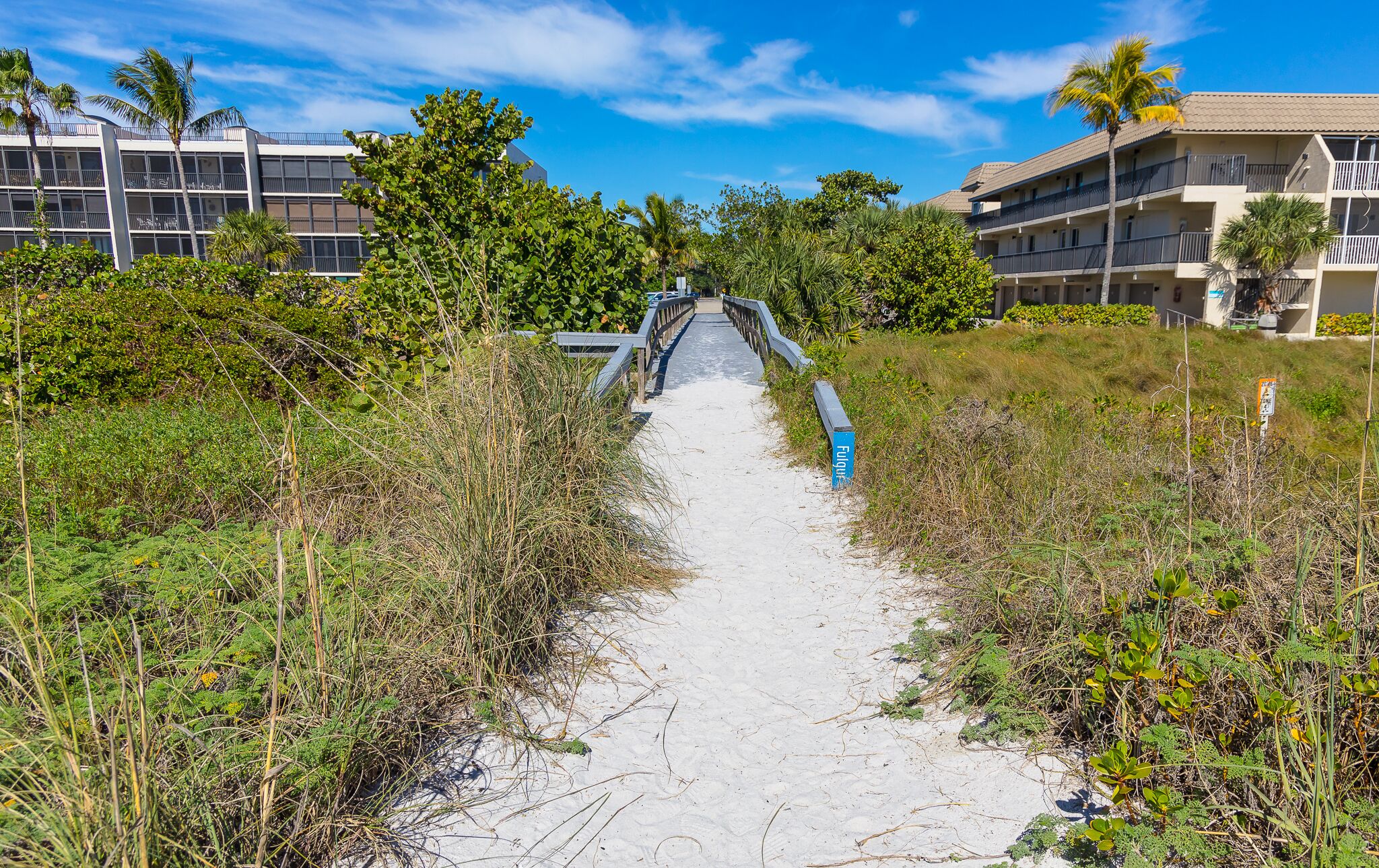 Un sendero que lleva a un edificio con vista a la playa, rodeado de vegetación y palmeras.