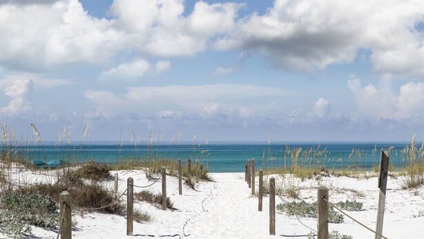 A sandy beach path leading to the ocean, with wooden posts and sea grasses.