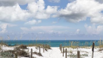 A sandy beach path leading to the ocean, with wooden posts and sea grasses.