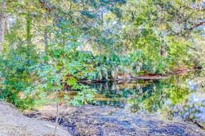 Property grounds - Lovely Condo w/ Shared Pool & Tennis - Dogs Welcome (Hilton Head)