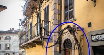 Feel at Home - NEL CUORE DI LOVERE