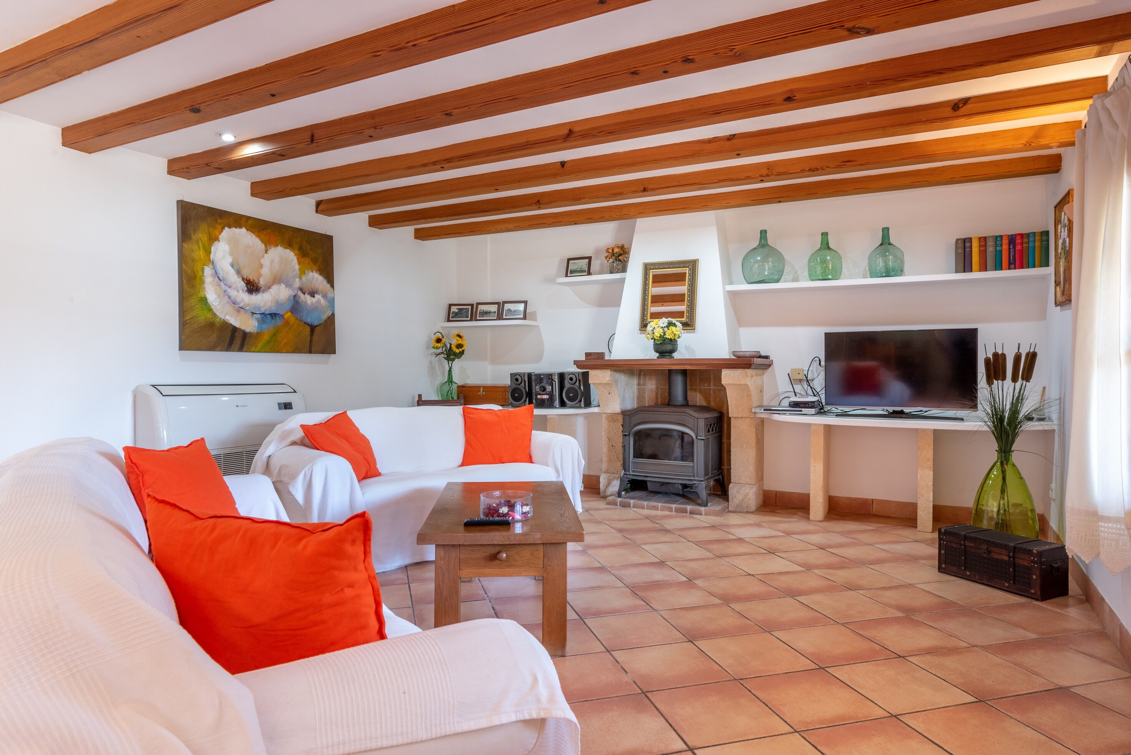 TV, fireplace