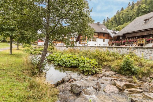 Ferienwohnung "Am Wehrastrand 4" in einer Kurstadt im Südschwarzwald mit Bergblick